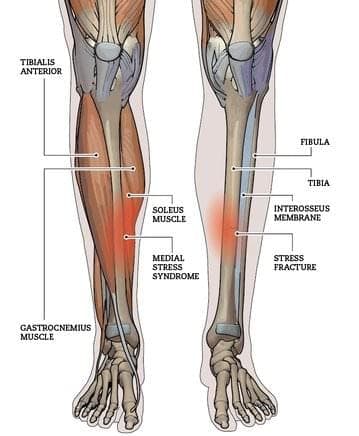Injury Info