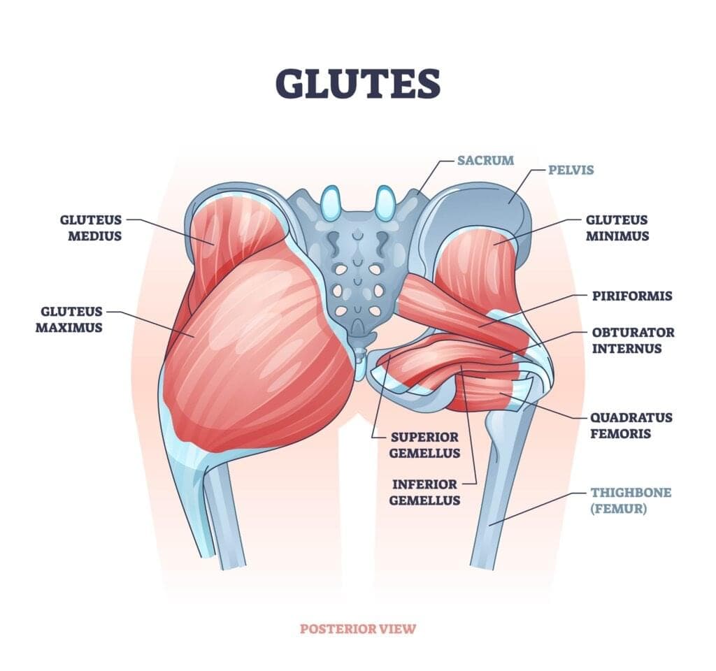Injury Info