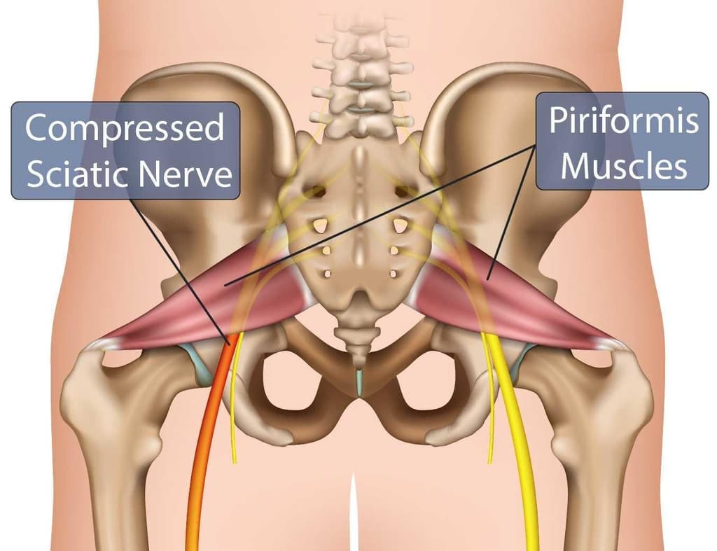 Injury Info